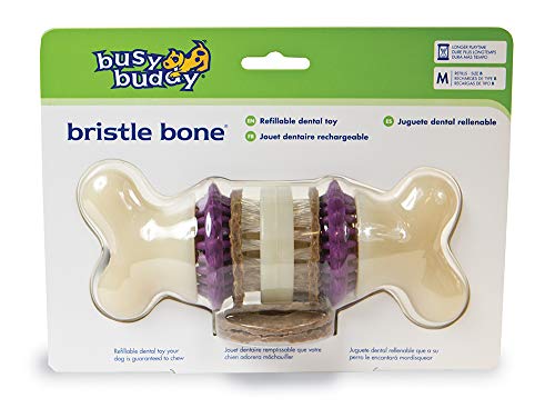 Busy Buddy Jouet Os Bristle Bone taille M