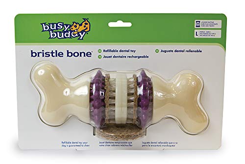 Busy Buddy Jouet Os Bristle Bone taille L