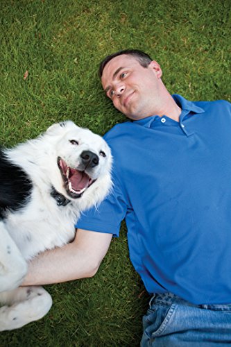 PETSAFE Collier anti-fugue sans fil PIF 300-21 WIRELESS