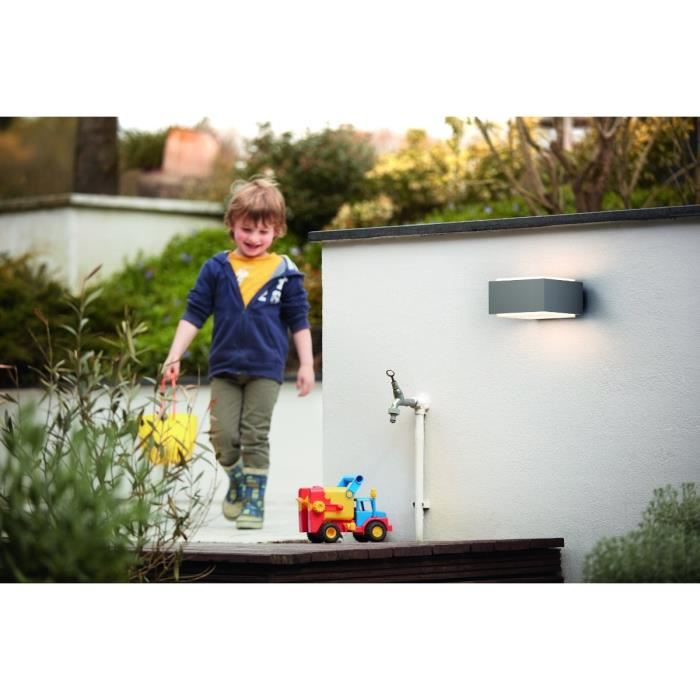 Applique Exterieure Philips Hedgehog - Gris - Led 42w - Garantie 2 Ans