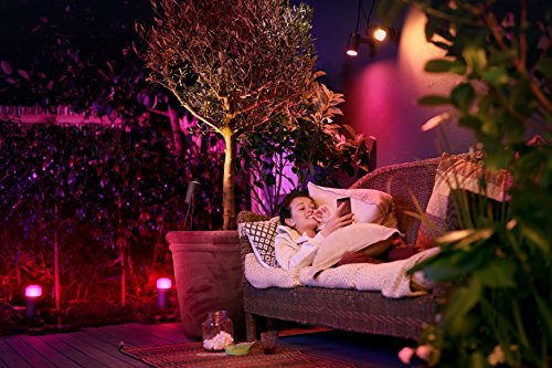 Philips Hue White & Color Ambiance Lily ...