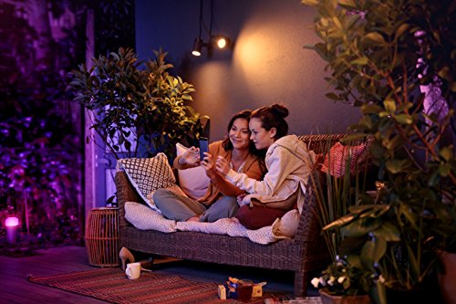 Philips Hue White & Color Ambiance Lily ...