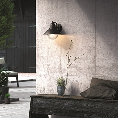 Lanterne Murale Vintage - Philips Lighting - Hoverfly - Exterieur - Noir