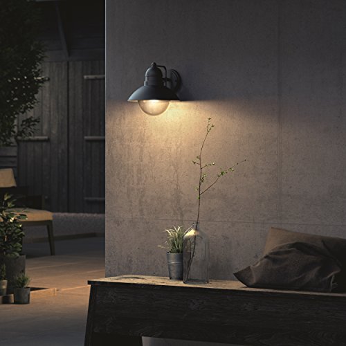 Lanterne Murale Vintage - Philips Lighting - Hoverfly - Exterieur - Noir