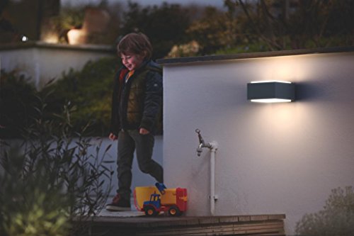 Applique Murale Philips Mygarden Hedgehog Anthracite 1x42w Led Exterieur