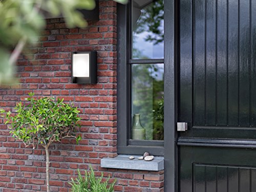 PHILIPS Applique exterieure Arbour 4000K 1x6W 230V Anthracite