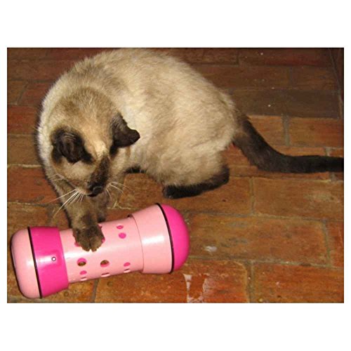 Pipolino chat jouet distributeur anti stress taille m Couleur - Multicolore