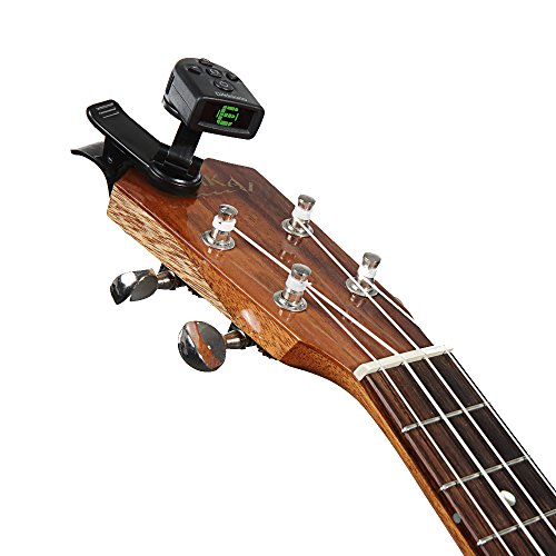 D'addario And Co Accordeur Pince Articule