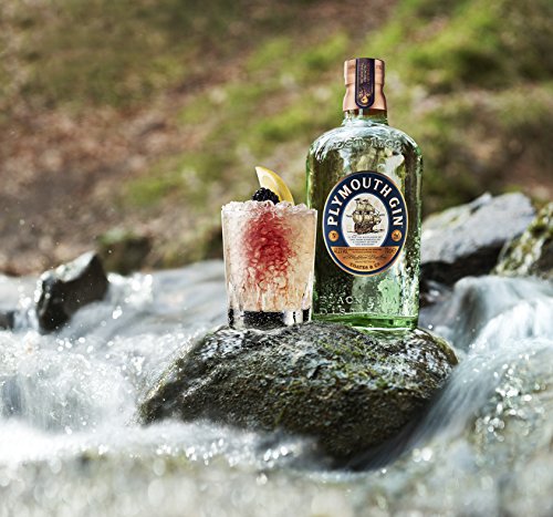 Plymouth Original Strength Dry Gin 41,2% Vol. 0,7l