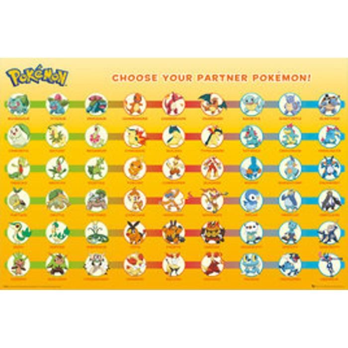 POKEMON Poster Partner Maxi Garcon A partir de 3 ans Livre a lunite