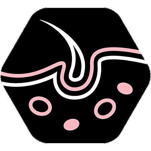 Pro Plan Small & Mini Adult Sensitive Skin Riche En Saumon - 7 Kg - Croquettes Pour Chiens Adultes De Petite Taille