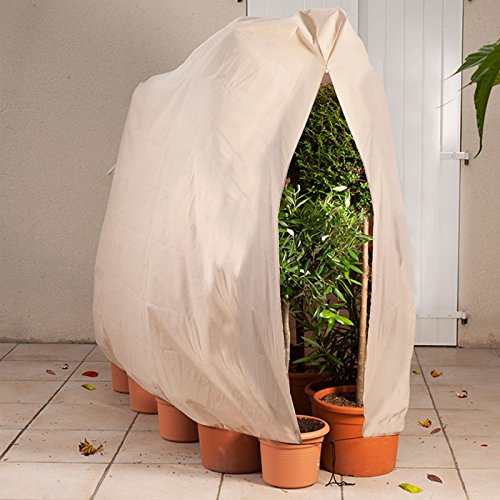 probache Housse d'hivernage pour plante et arbuste 200 x 240 cm - PROBACHE