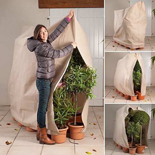 Idmarket Housse Dhivernage Pour Plante Et Arbuste 200 X 240 Cm