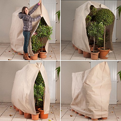 Idmarket Housse Dhivernage Pour Plante Et Arbuste 200 X 240 Cm
