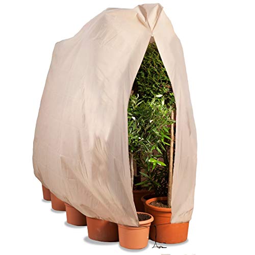 Idmarket Housse Dhivernage Pour Plante Et Arbuste 200 X 240 Cm