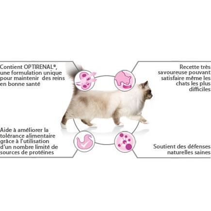 Pro Plan Adult 1 Delicate Digestion Riche En Dinde 10kg Croquettes Completes Pour Chats Adultes