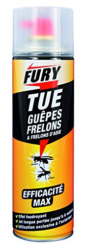 PROVEN ORAPI Fury Insecticide Frelons/Gu...