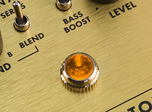 Fender Pugilist Distortion