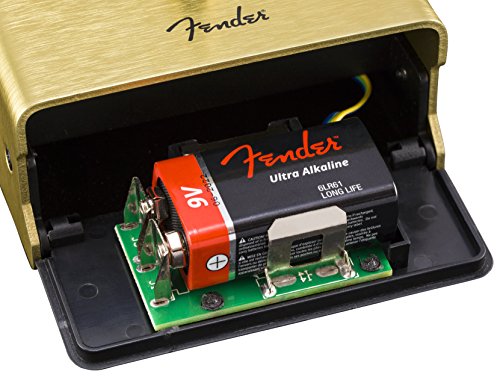 Fender Pugilist Distortion
