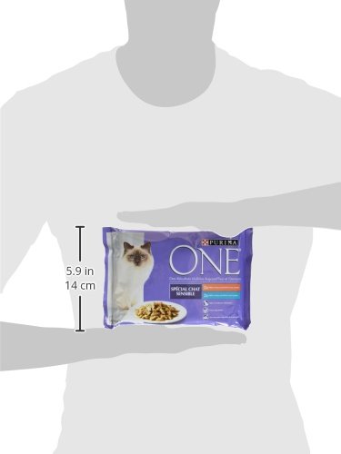 Purina One Chat Sensible Effiles En Sau ...