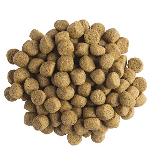 Purina Proplan Veterinary Diets Chien Dm (diabete Management) Croquettes 3kg