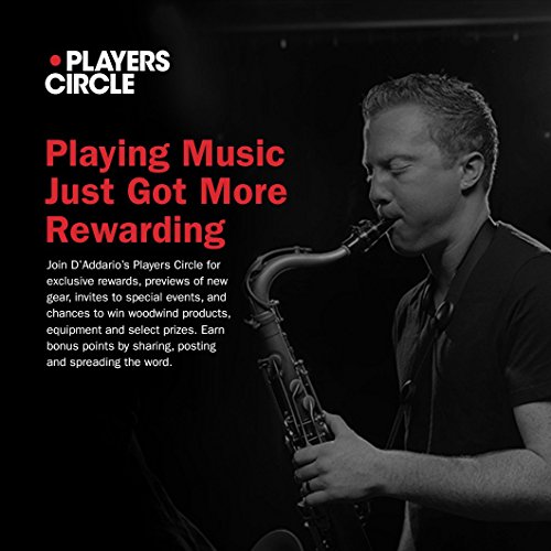 Rico RJB0325 Pack de 3 anches pour Saxop...