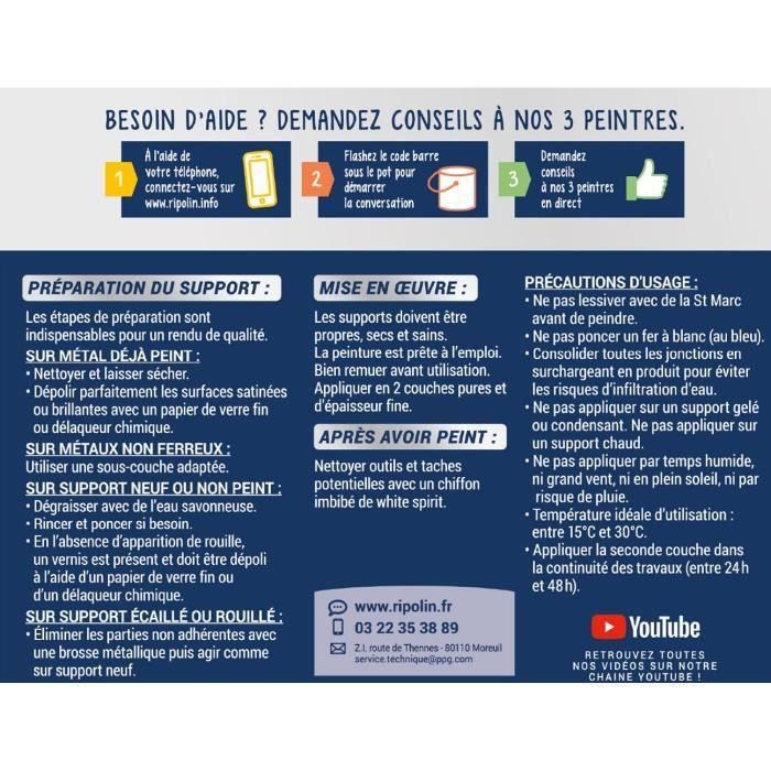 Peinture Fer Ripolin 396027 Blanc Brillant 2 L