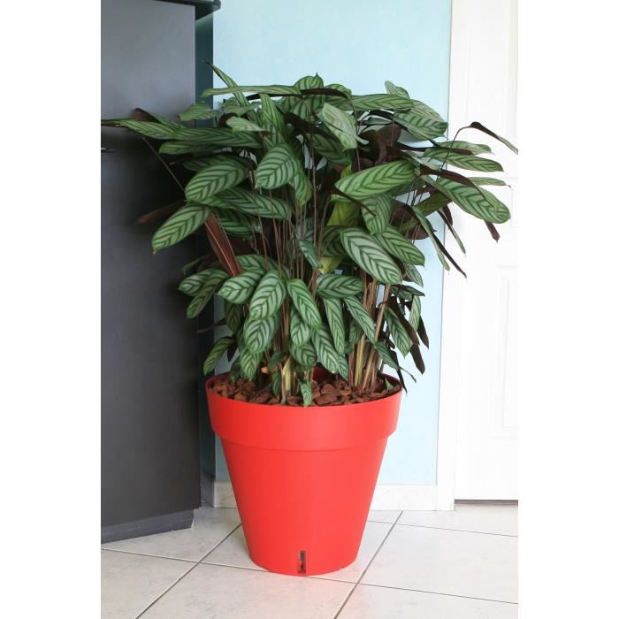 Pot De Fleurs Riviera Loft Avec Reserve Deau Rond O 49 X H 45 Cm 50l Rouge