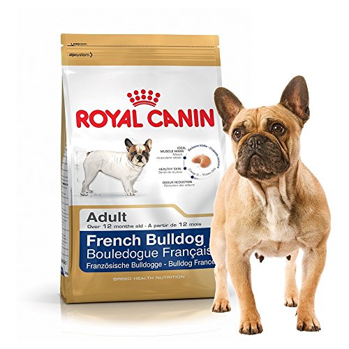 Royal Canin French Bulldog Adult 9 Kg Ad...