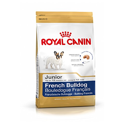 Croquettes Bouledogue Francais Junior pour Chiot - Royal Canin - 10Kg