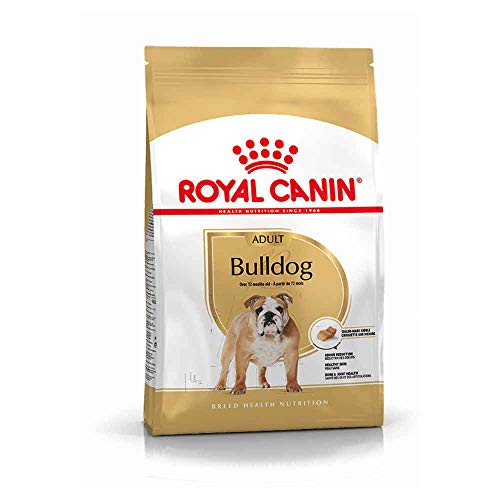 Croquettes Royal Canin Bulldog Anglais 24 Adulta¦