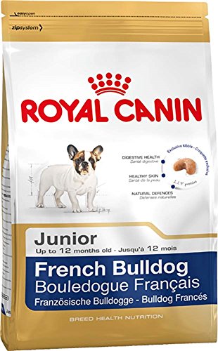 Croquettes Pour Chiot Bouledogue Francais - Royal Canin - Junior - Nourriture Pour Chiot - Petit - Croquette