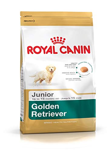 Croquettes Royal Canin Golden Retriever 29 Junior - Sac 12 Kg