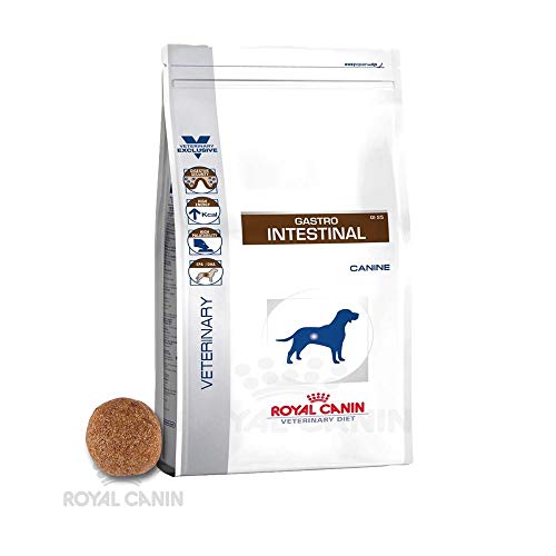 Royal Canin Veterinary Diet Chien Gastro Intestinal 2kg