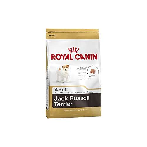 Royal Canin Breed Royal Canin Jack Russell Terrier Adulte pour chien 7.5 kg
