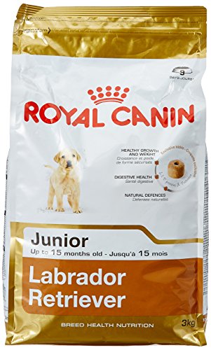 Royal Canin Labrador Retriever Chiot Pour Chien 3kg