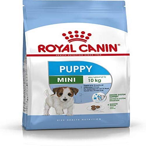 Royal canin chien mini junior Poids - 4 kg