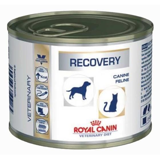 Royal Canin Vdiet Dog/Cat Recovery - 12 x 195 gr