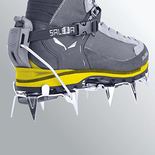 Salewa Ms Crow Gtx, Chaussures De Randon...