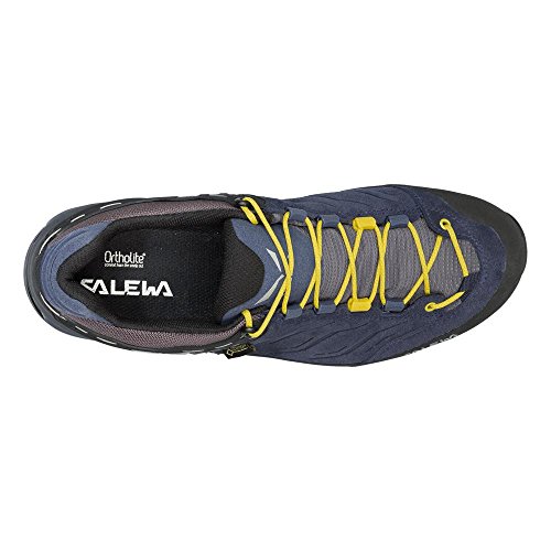 Salewa Ms Mtn Trainer Gtx, Chaussures De...