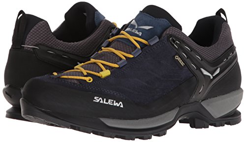 Salewa Ms Mtn Trainer Gtx, Chaussures De...