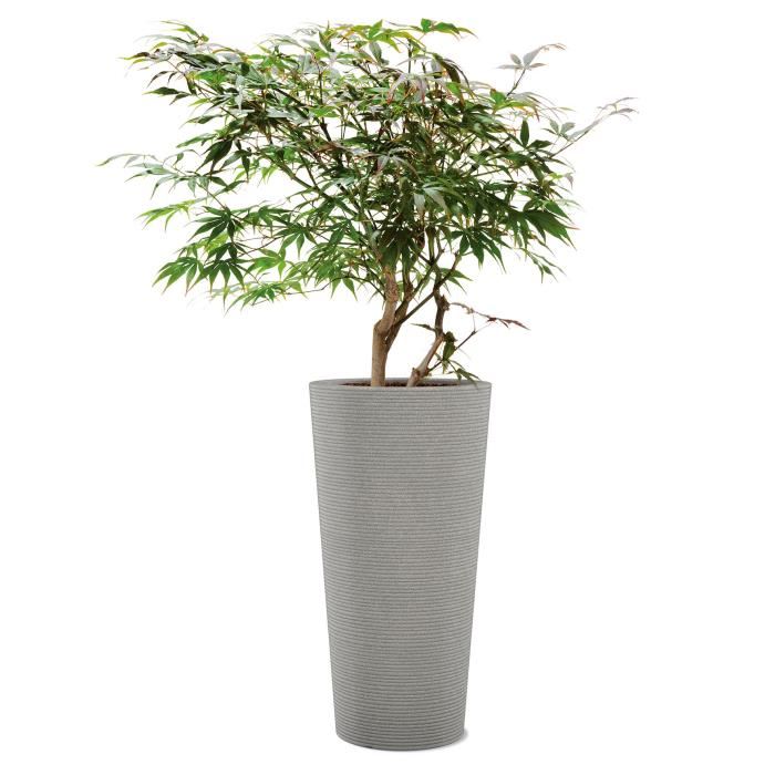 Scheurich Pot A Fleurs Avec  (taupe Granit, Ø 39 Cm, Hauteur 70 Cm) Taupe Granit