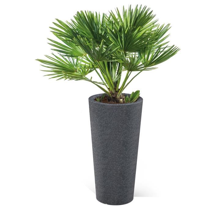 Scheurich Pot A Fleurs Avec (noir Granit, Ø 39 Cm, Hauteur 70 Cm) Noir Granit
