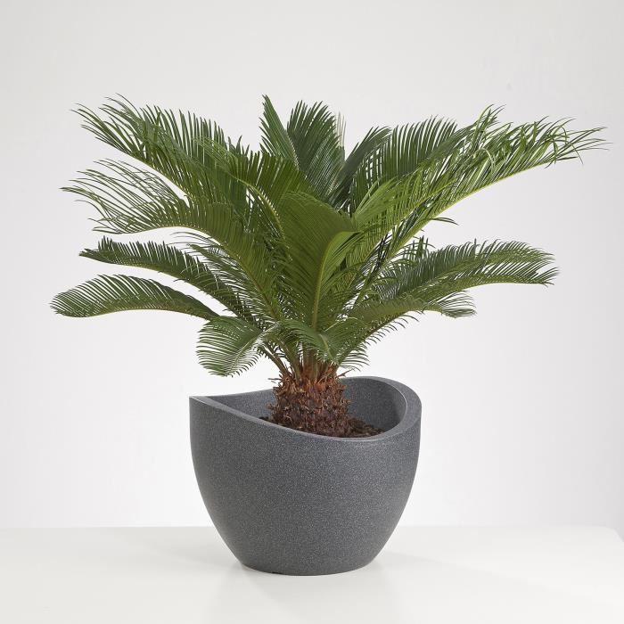 Scheurich Pot A Plantation Wave Globe (granit Noir, Ø 40 Cm, Hauteur 30 Cm)