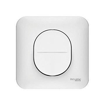 Interrupteur Double Va-et-vient Schneider OVALIS S260214 - Complet, Occasion En état Fonctionnel