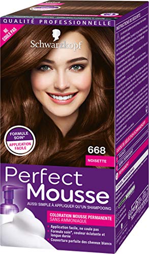 Schwarzkopf Perfect Mousse Coloration Permanente Noisette 668