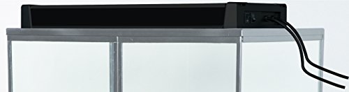 Lampe - Sera - Reptil Terra Top - Noir - Eclairage - Reptile