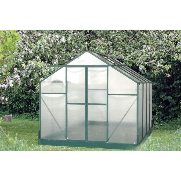 Serre De Jardin Structure En Aluminium Verte 244 X 290 X 227m