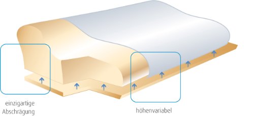 Oreiller Ergonomique Sissel Plus