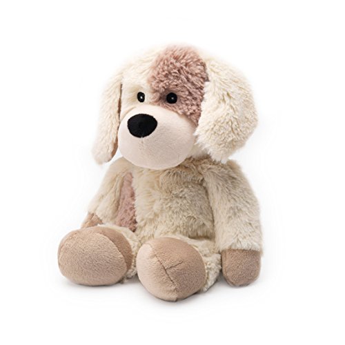 SOFRAMAR BOUILLOTTE COZY PELUCHE CHIEN ASSIS